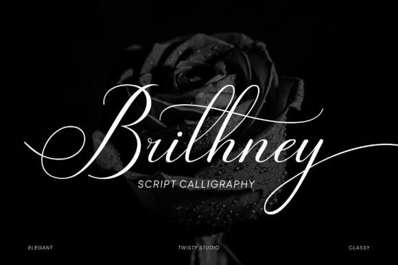 Brithney: The Art of Fluid Typography in Modern Design