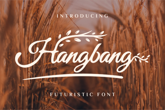 Hangbang: The Vintage Script That Delivers Confidence and Charm