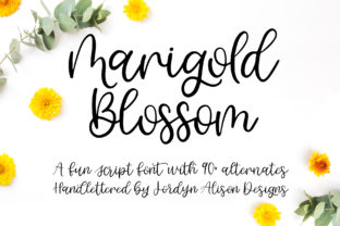 Marigold Blossom: The Ultimate Script for Romantic and Playful Designs